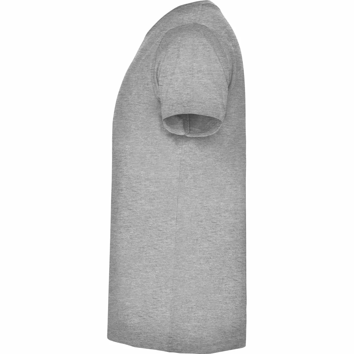 camiseta-roly-telobordo-samoyedo